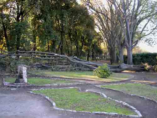 foto Alessandro Magro