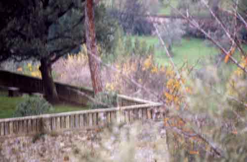 foto Laura Valentini