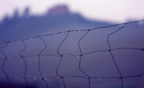 foto Laura Valentini