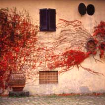 foto Maria Giovanna Parra