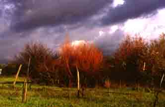 foto Maria Giovanna Parra