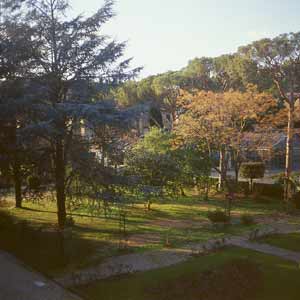 il giardino IAO