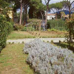 il giardino IAO