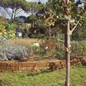 il giardino IAO